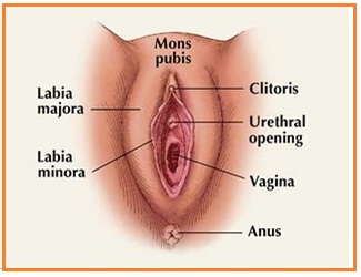 image http://forum.kontenesia.com/assets/images/8-QNFurOnsMJip9XwN.jpeg